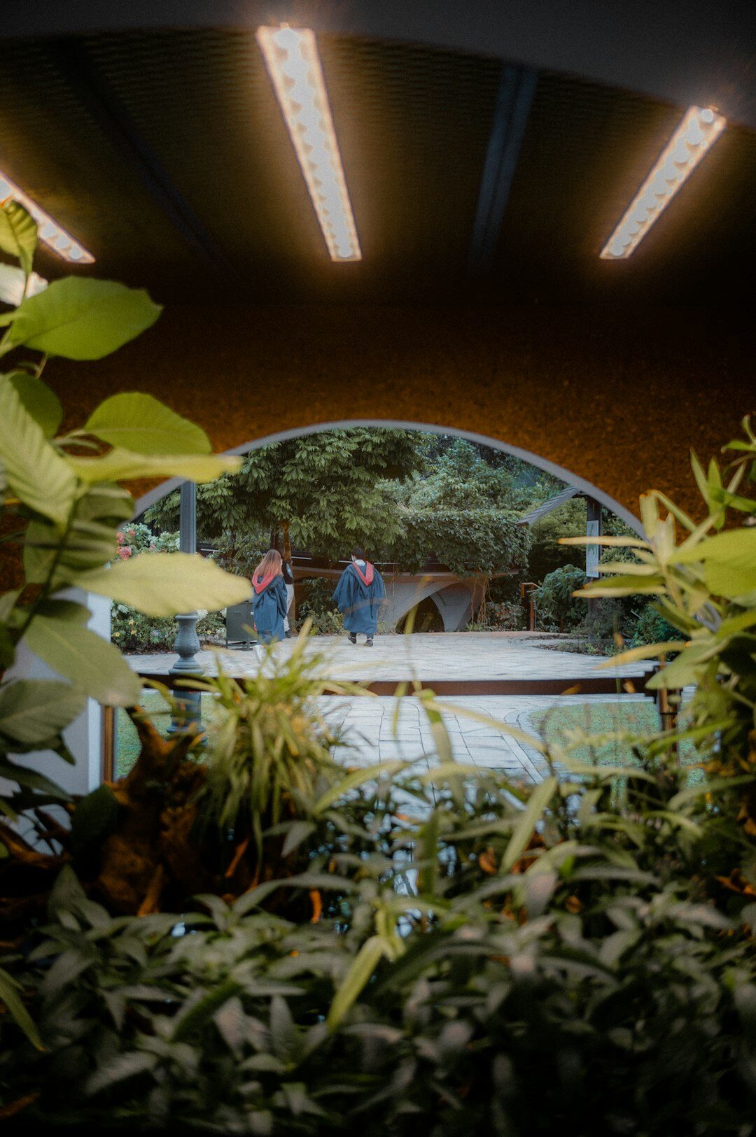 Diverse team of Belgian colleagues discussing strategy in a bright open-plan office with plants